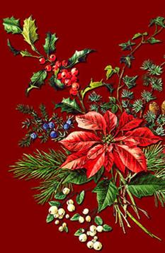 Christmas_2012
