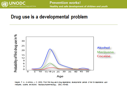 Drug Use is a Developmental Problem