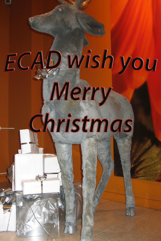 card-2010