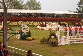 Horse_racing